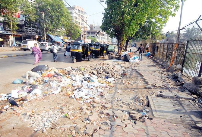 Garbage strewn along Bandra lake. As part of the initiative, civic officials are also going to launch a campaign to dissuade people from throwing garbage in and around lakes. File pic