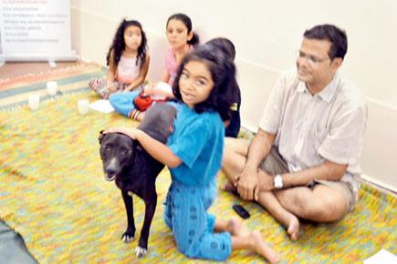 Summer workshop for kids to create awareness about Mumbai's strays