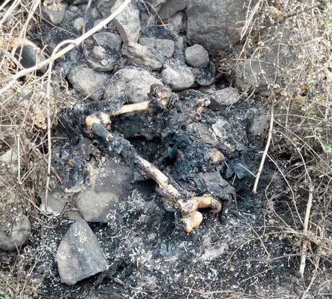 Cops found her charred remains nearly 50 km away in Khoni village