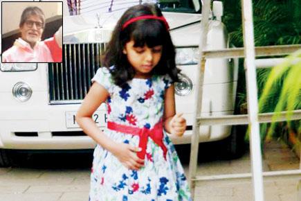 Amitabh Bachchan doesn't like granddaughter Aaradhya's cat