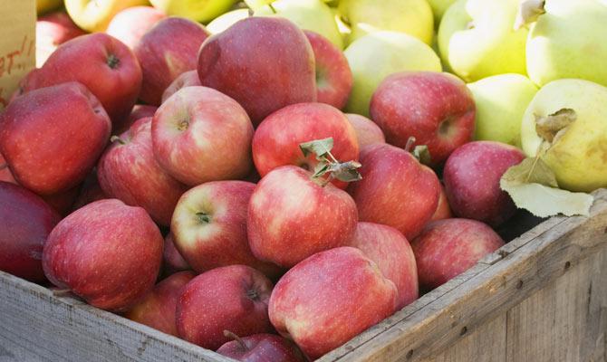 Mumbai Crime: 2 held for smuggling drugs worth Rs 7.2L hidden in apple boxes