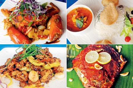 Mumbai food: Bandra's new eatery will offer menu based on oceans of the world