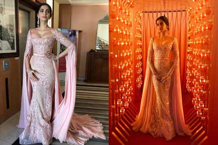 Cannes 2017: Sonam Kapoor glows like a radiant rose in these photos