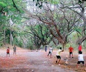 Mumbaikars, take part in this event to do your bit for Aarey Colony