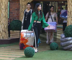 Bigg Boss 11 November 14 Update: Vikas to work with Shilpa post 'Bigg Boss'?