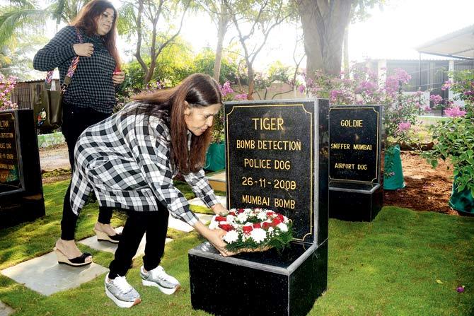 Fizza Shah lays wreaths on the graves of the dogs, whom she had adopted after their retirement from police service