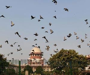 SC to continue hearing Delhi govt's challenge of HC verdict in favour of LG