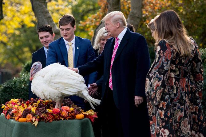 US President Donald Trump pardons Thanksgiving turkey Drumstick in the Rose Garden of the White House in Washington, DC, on November 21, 2017. Pic/AFP