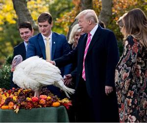 Donald Trump pardons Thanksgiving turkeys Drumstick and Wishbone