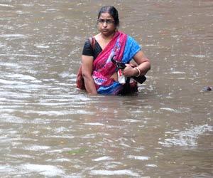 Mumbai: BMC has a new solution to stop flooding at Hindmata