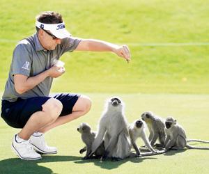 Golfer Ian Poulter monkeys around