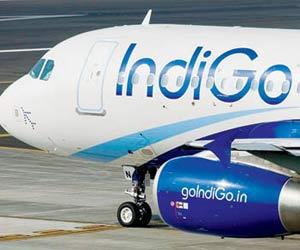 IndiGo apologises to wheelchair-bound passenger for mishap at Lucknow airport