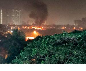 Mumbai: Land mafia sets fire to mangroves in Kandivli