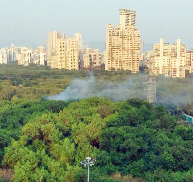 Pictures taken by a resident show smoke billowing from the mangroves, allegedly after tyres were burnt to destroy them, and huts built in the cleared space