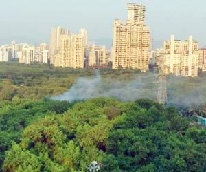 Mumbai: How land mafia is burning down mangroves in Versova