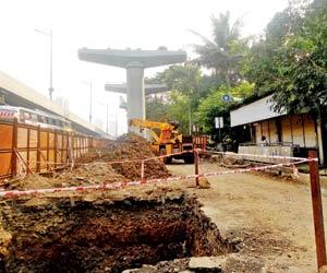 91 trees set to be felled to clear way for Dahisar-Andheri East Metro line 7