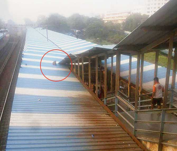The monkey was first shot with a tranquilliser on the roof of the foot overbridge on platform number 1