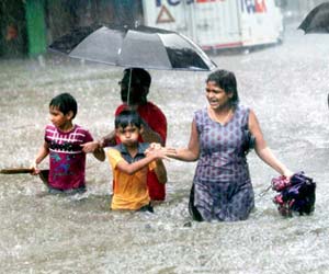 More showers tomorrow in Tamil Nadu, 5 dead in rain-related incidents