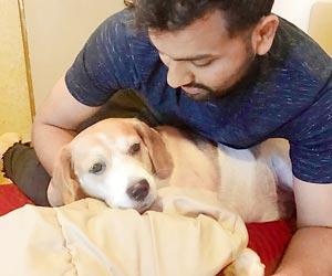 Rohit Sharma and Dinesh Karthik have cute photos with their pet dogs