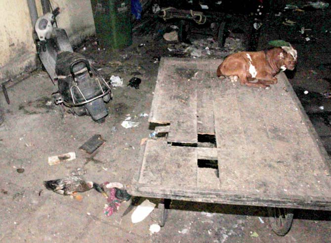 The spot where Rukhaiya Dola fell. Pics/Satej Shinde