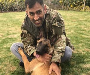 MS Dhoni trains pet dogs at his Ranchi home and the video goes viral!