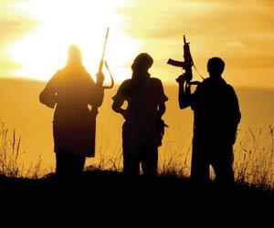 Three Jaish-e-Muhammad militants killed in Pulwama gunfight
