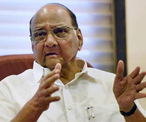 Sharad Pawar: People have started accepting Rahul Gandhi now