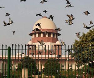 SC refers plea against Section 377 of IPC to larger bench