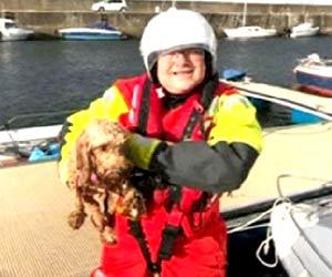 Watch video: Coastguards on training exercise help rescue dog washed out to sea