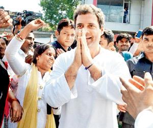 Congress votes for Rahul Gandhi as next party president