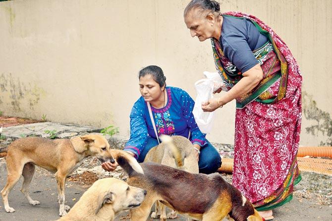 Hema Nayi and her mother, Kantaben, feed strays in Kandivli. Pic/Falguni Agrawal