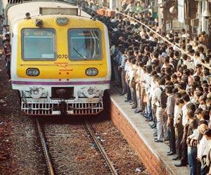 Suburban train services on Mumbai's Harbour line disrupted