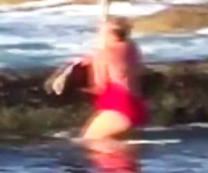 Woman throws shark back into sea after it got into Sydney ocean pool