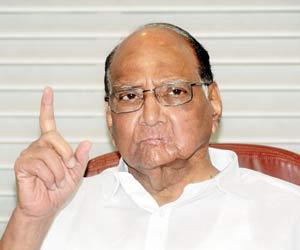 NCP Chief Sharad Pawar: Don't spend a bomb on bullet train, improve network