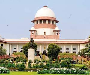 Supreme Court to hear pleas against cow vigilantism