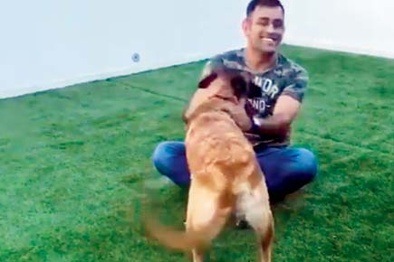 MS Dhoni's dog Sam is one talented pet!