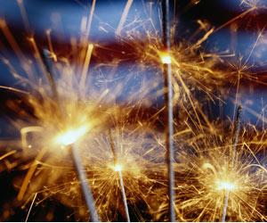 Over 1,200 kg firecrackers seized, 29 held post SC ban on fireworks sale