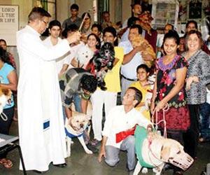 HOLY PET! This church priest in Mumbai blesses pets