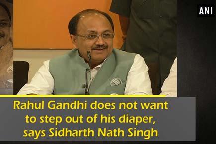 Rahul Gandhi does not want to step out of his diaper, says Sidharth Nath Singh