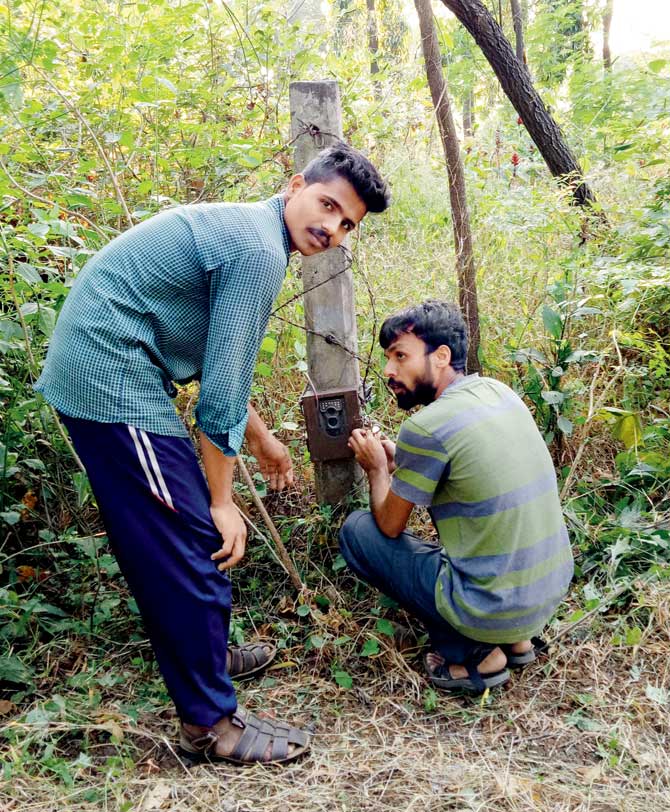 Workers set up a camera at Aarey. Ten new cameras will be installed