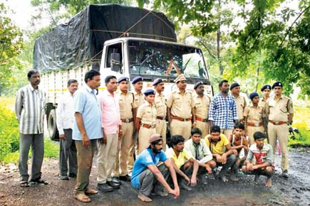 Six held for trying to smuggle 30 logs of catechu trees at Vikramgadh