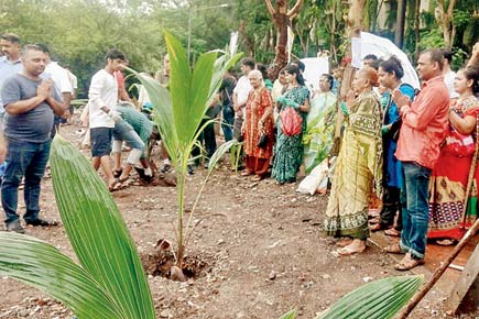 Mumbai: NGO invents a unique way to increase green cover