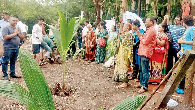 Residents and members of NGO Green Yatra planted 60 saplings on a plot in Charkop village on Sunday