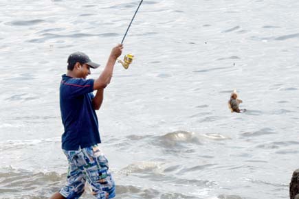 Mumbai's fishing community says pollution is killing marine life
