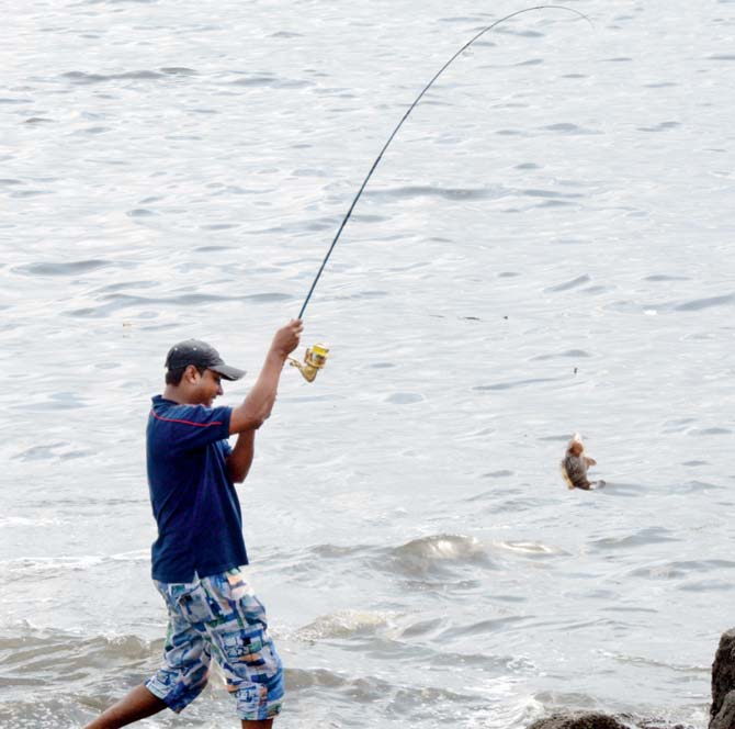 Nikhil Shetty catches a grouper. Pics/Satej Shinde