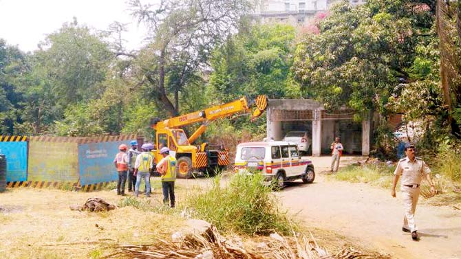 Green activists and residents have been opposing the construction based on the fact that the car depot would come up in the green zone of Aarey. File Pic