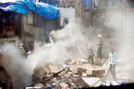 Mumbai building collapse: NDRF's trusty sniffer dogs bite the dust