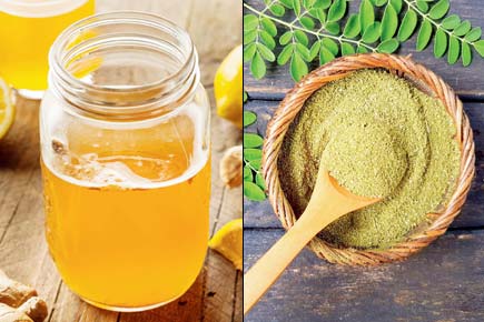All you need to know about the foods kombucha, moringa and kefir