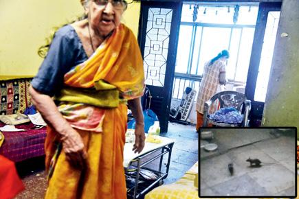 Mumbai: Mother, daughter welcome rats into home to beat loneliness