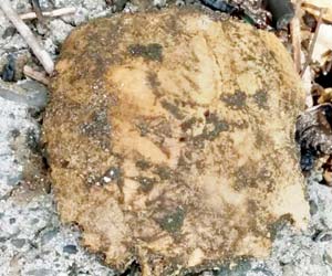 Kelwa Beach Burials: Cops find skull fragment, autopsy reports 'questionable'